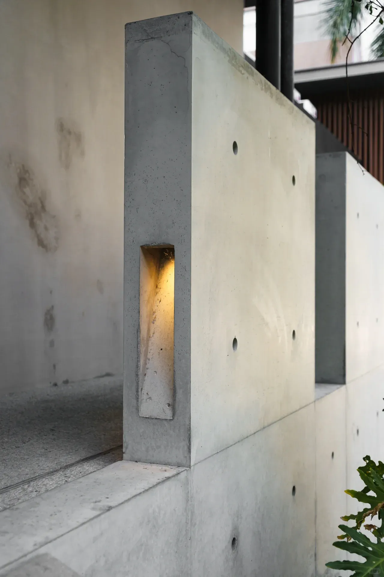 xiaohongshu165026 (1).webp